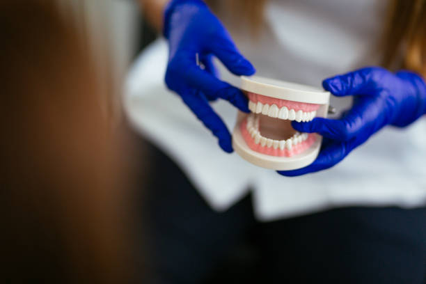 Best Preventive Dentistry  in Seymour, IN